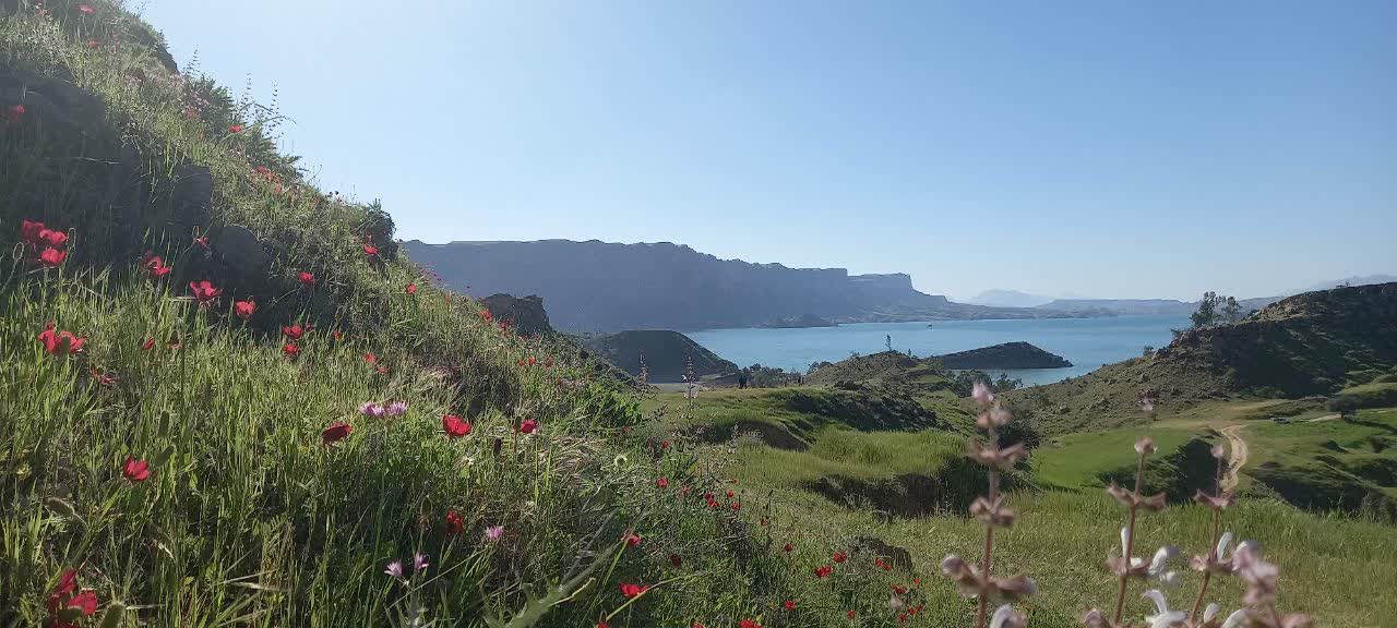 تصویر روستا